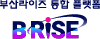 부산라이즈혁신원 로고